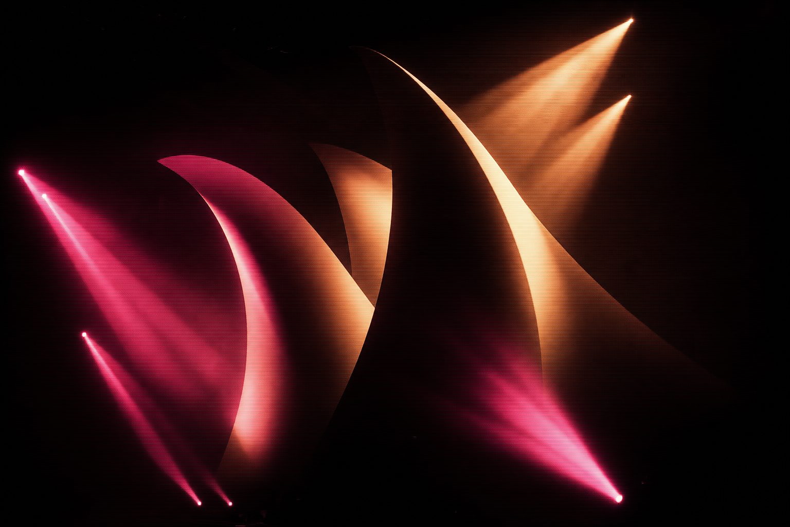 Large smooth curved white shells overlapping one another, a hard light raking across them from one side so each curve turns from bright to black along its length.